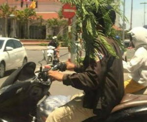 Bức xúc với hình ảnh người dân đội cây để chống nắng khi lái xe