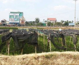 Rủ bé gái 12 tuổi ra đồng tâm sự rồi giở trò đồi bại