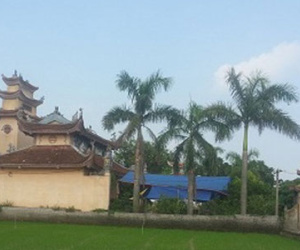 Sư thầy tự tử trong chùa nghiện ma túy, nợ nần chồng chất