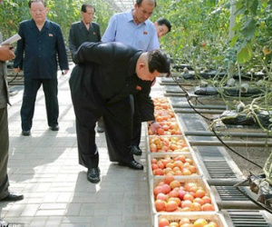 Ám ảnh ngộ độc, ông Kim Jong-un bắt soi rau bằng kính hiển vi