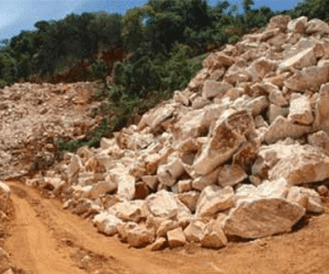 Một quản lý người Ấn Độ bị cướp, giết ở Nghệ An