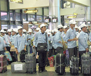 Hàng nghìn lao động Việt Nam tại UAE bị chấm dứt hợp đồng