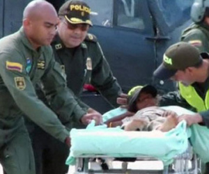Bé 7 tuổi sống sót sau 18 ngày lạc trong rừng sâu