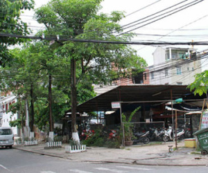 Bố trí đất trái quy định cho con bí thư Thành ủy Đà Nẵng