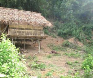 "Thảm sát Nghệ An: Có manh mối, nhưng vẫn bế tắc"