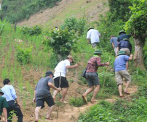 Đã khoanh vùng nghi phạm vụ thảm sát ở Nghệ An