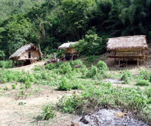 Tìm được con dao nghi phạm dùng thảm sát 4 người