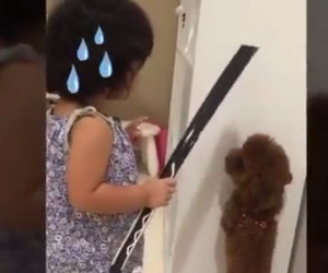 Cười ngất với clip em bé dễ thương rụng rời "Đầu xù lớn mắng đầu xù bé"