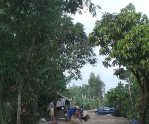 Dùng chĩa đâm con trai nguy kịch rồi uống thuốc sâu tự tử