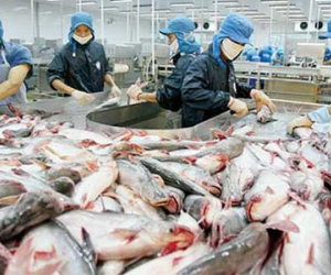 Mất 60 triệu USD vì không hiểu luật Mỹ