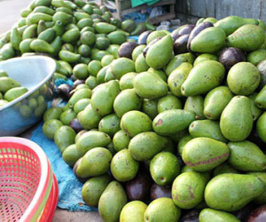 Bơ sáp 20.000 đồng/kg bán tràn phố Sài Gòn