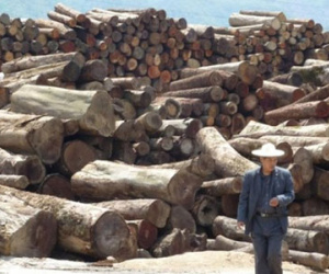 Myanmar kết án 153 người Trung Quốc tù chung thân