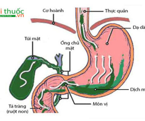 "Thủ phạm" giấu mặt gây bệnh ung thư mà bạn không ngờ đến