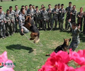 Binh sĩ Trung Quốc được trang bị giày "công nghệ cao"