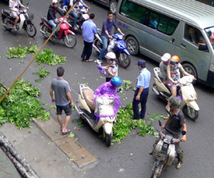 Hà Nội: Cành gây gãy rơi vào người đi đường