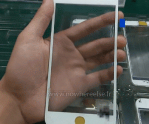 Ảnh bìa bài viết 309257