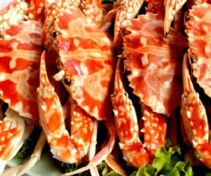 Ảnh bìa bài viết 309231
