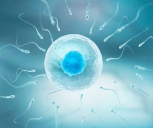 Tác dụng bất ngờ khi phụ nữ "yêu" thường xuyên