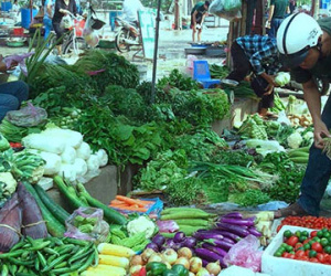 Dân buôn Hà Nội gom rau bán về Quảng Ninh lãi đậm