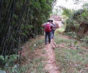 Trinh sát "lật tung" rừng truy tìm nghi can đánh chết bé 4 tuổi