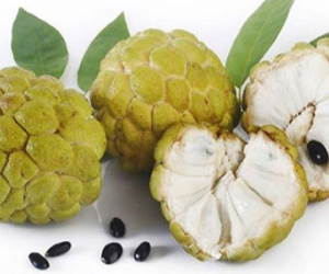 6 lợi ích không ngờ của quả na với sức khỏe