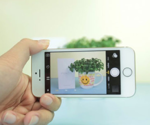 iPhone 5S refurbished về Việt Nam với giá 10,6 triệu đồng