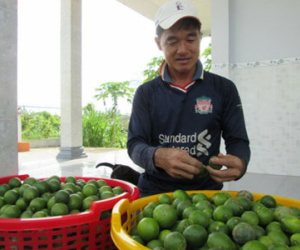 40 kg chanh không bằng một ổ bánh mì