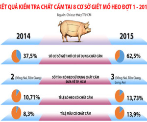 Clip: Chất cấm trong thịt heo tăng báo động