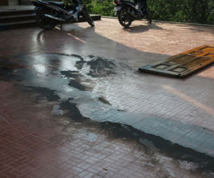Nghi án em dâu bị anh rể thiêu sống dã man ở Nghệ An
