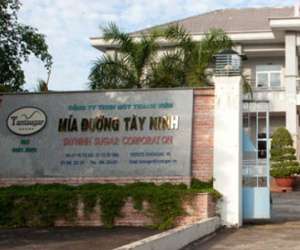 Bắt tạm giam nguyên Tổng Giám đốc Công ty mía đường Tây Ninh