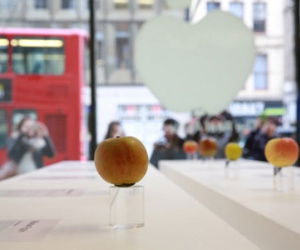 Vì sao Việt Nam chưa có Apple Store?