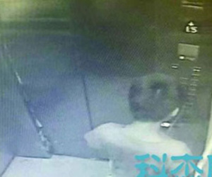 Thang máy chung cư tê liệt vì bé trai tè vào bảng điều khiển