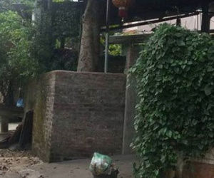 Chồng hoảng loạn sau khi dùng dao truy sát vợ