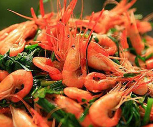 Tôm đồng tốt cho người liệt dương, xuất tinh sớm