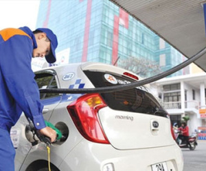 Cước vận tải "trốn" giảm giá: Bộ Tài chính vào cuộc