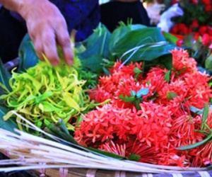Những loại hoa nào không dâng cúng trên bàn thờ?
