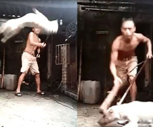Phẫn nộ thanh niên khoe thành tích hạ sát chó dã man