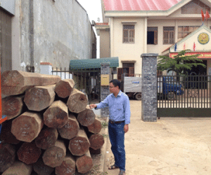 Đắk Lắk: Nguyên Phó Bí thư huyện uỷ tàng trữ gỗ lậu tại nhà riêng