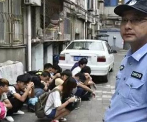 "Ổ đa cấp" sống bầy đàn, mắc bệnh truyền nhiễm giống nhau