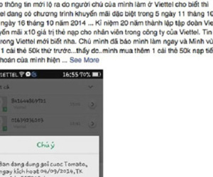 Thêm một "cháu của ông chú Viettel" lãnh 15 tháng tù