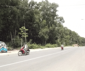Hai tên cướp thuê xe ôm từ TP.HCM đi Bình Dương cướp của giết người