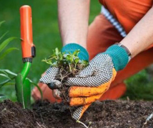 Những cách kiếm tiền khi thất nghiệp