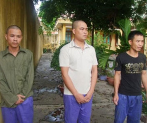 Xông vào công trường, trói nghiến bảo vệ, cướp tài sản
