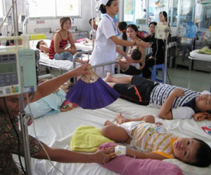 29/30 quận, huyện ở Hà Nội bùng phát dịch sốt xuất huyết