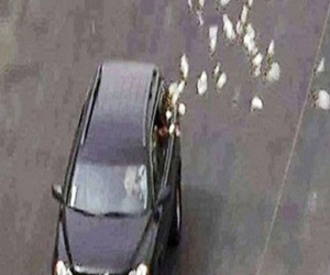 Choáng đại gia Việt rải hàng trăm triệu dài 3 km