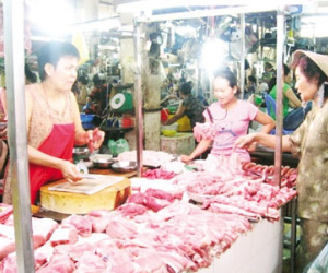 Sợ chất cấm, vượt cả trăm cây số để…“săn” lợn sạch