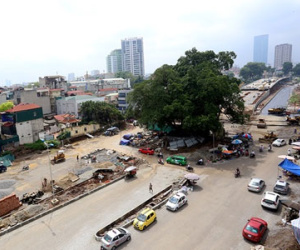 Đường hơn 6.000 tỷ đồng "né" cây đa cổ thụ