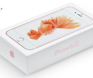 Ảnh bìa bài viết 316698