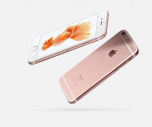 Ảnh bìa bài viết 316696