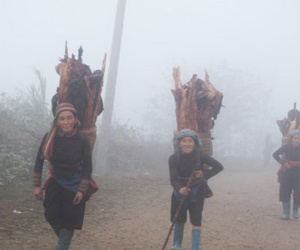 Sa Pa chuyển rét 14,3 độ C